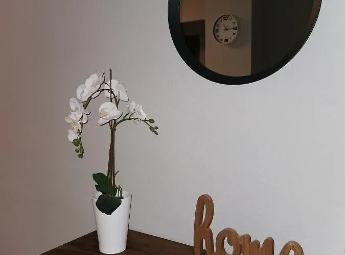 Naufragos Apartment Torrevieja